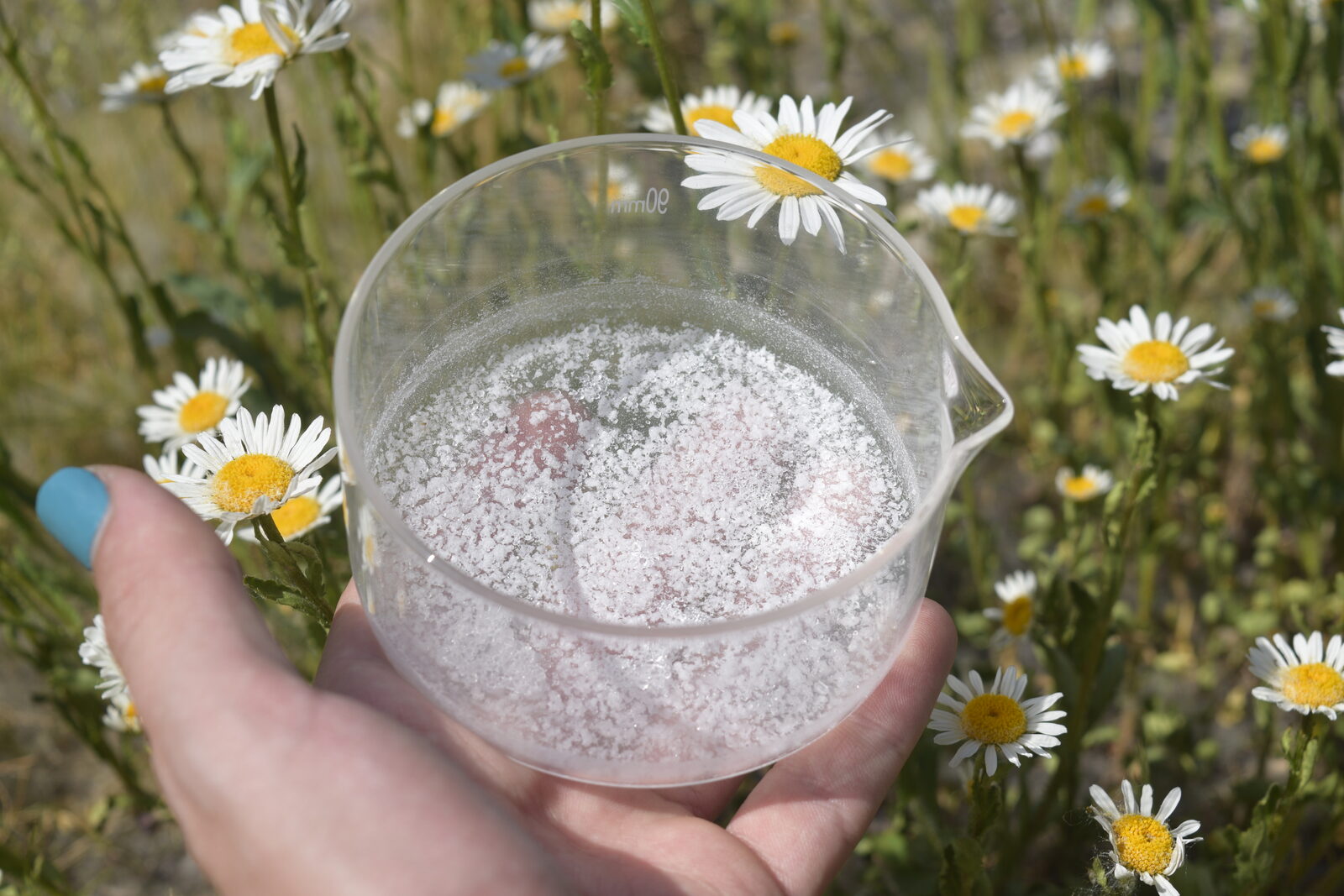 Alchemical plant salt in a glass beaker