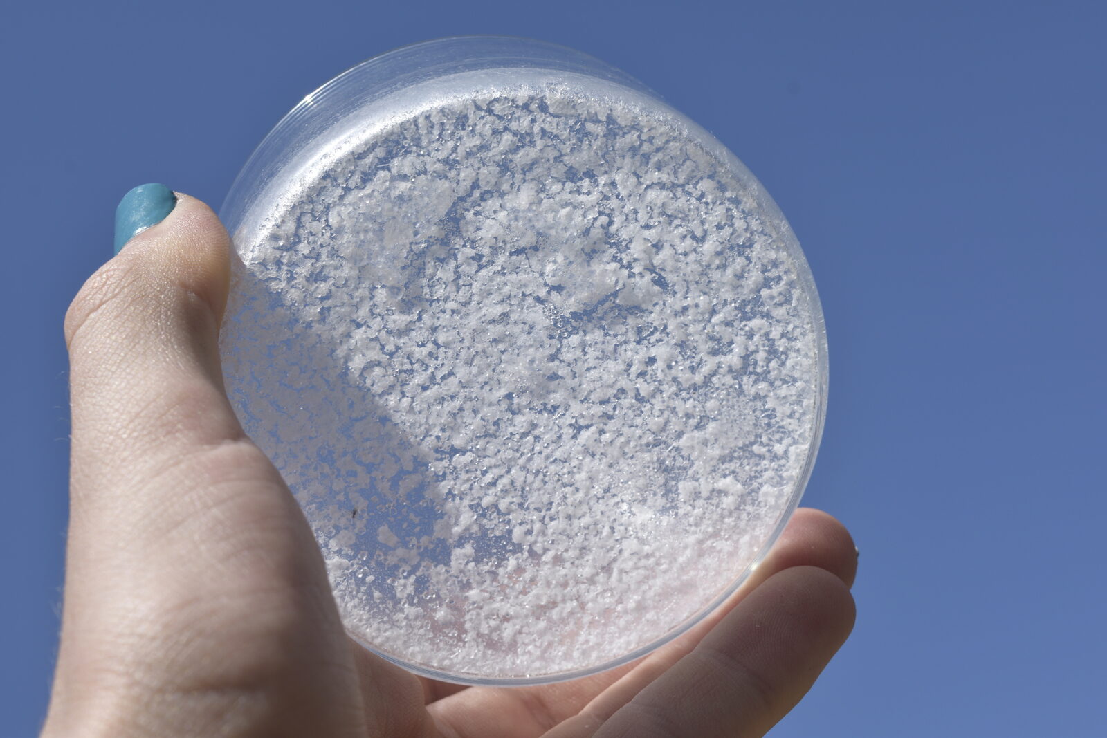 Alchemical salt crystals held to the sky