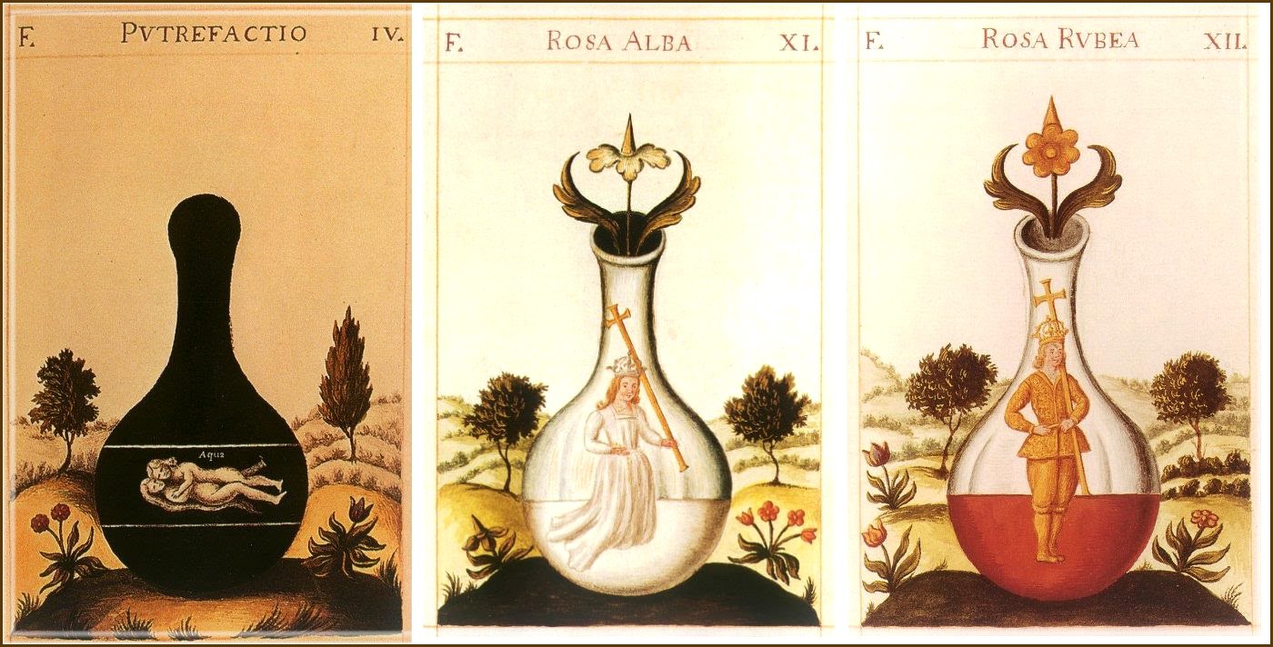 What Is a Spagyric Tincture? The Alchemical Art, Explained